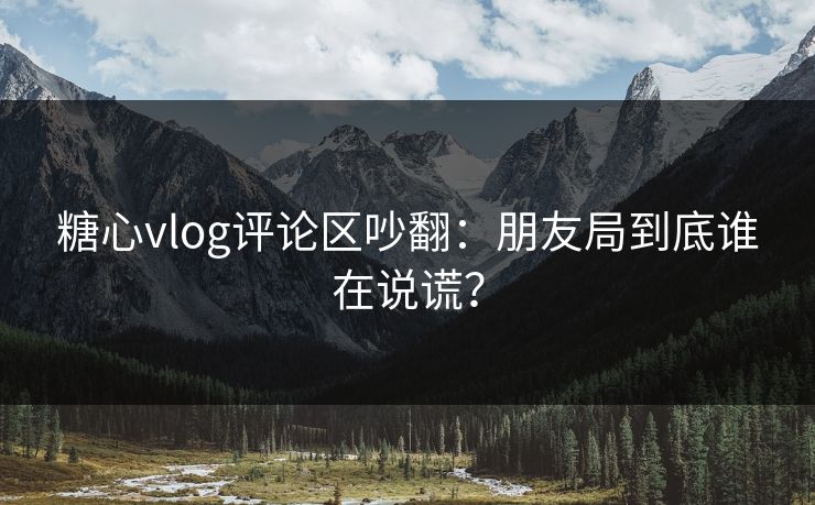 糖心vlog评论区吵翻：朋友局到底谁在说谎？  第1张