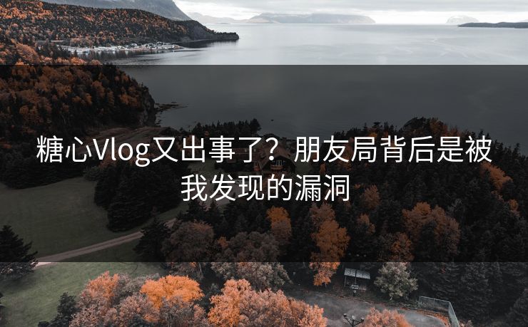糖心Vlog又出事了？朋友局背后是被我发现的漏洞