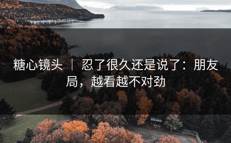 糖心镜头 | 忍了很久还是说了:朋友局,越看越不对劲