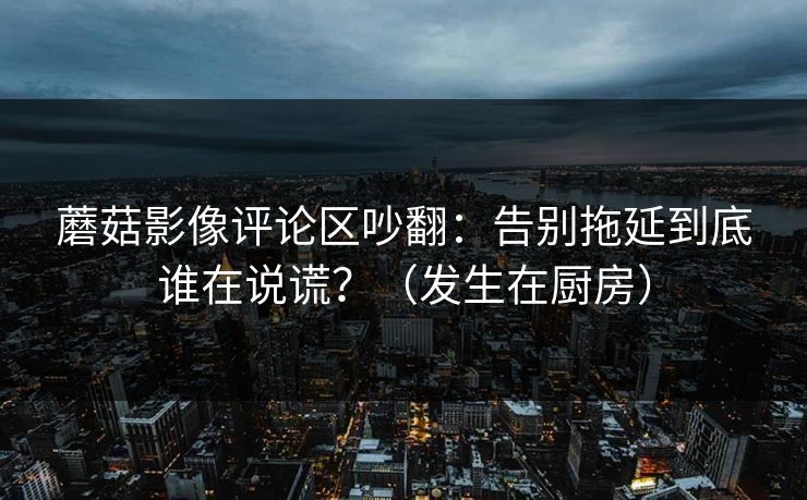 蘑菇影像评论区吵翻:告别拖延到底谁在说谎?(发生在厨房) 第1张 蘑菇影像评论区吵翻:告别拖延到底谁在说谎?(发生在厨房) 第1张