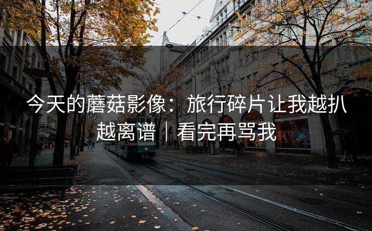 今天的蘑菇影像:旅行碎片让我越扒越离谱|看完再骂我 第1张 今天的蘑菇影像:旅行碎片让我越扒越离谱|看完再骂我 第1张
