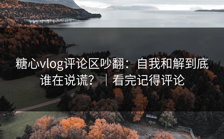 糖心vlog评论区吵翻:自我和解到底谁在说谎?|看完记得评论