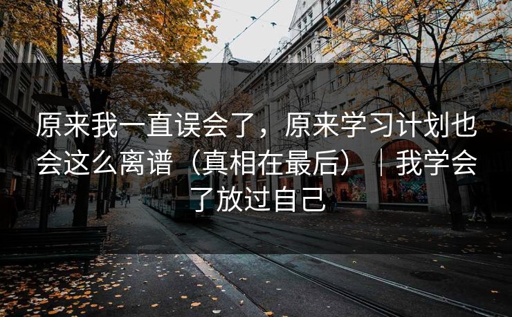原来我一直误会了,原来学习计划也会这么离谱(真相在最后)|我学会了放过自己