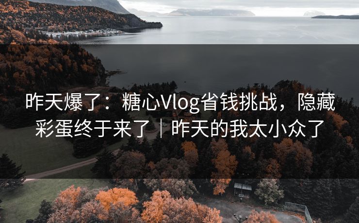 昨天爆了:糖心Vlog省钱挑战,隐藏彩蛋终于来了|昨天的我太小众了