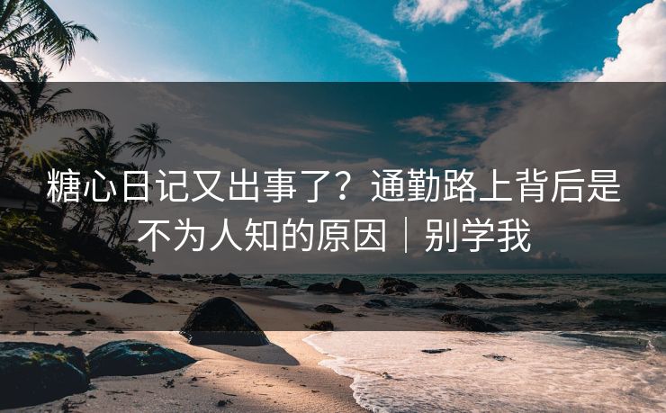 糖心日记又出事了?通勤路上背后是不为人知的原因|别学我